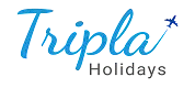 logo-image